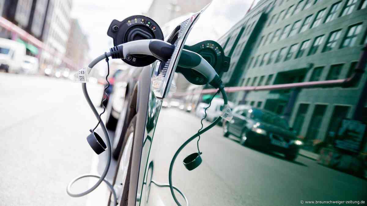 Bis zu 262 Gramm CO₂: Diese Politiker fahren die Klimasünder-Autos