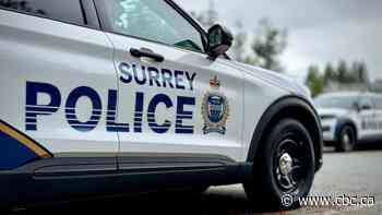 Off-duty Surrey cop sentenced to probation after assaulting casino patron