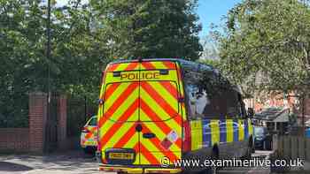 Boy, 15, among five still held after newborn baby found dead in Sheffield flat
