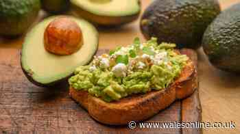 Mary Berry's 10-minute avocado toast recipe is 'oh so tasty' and easy to make
