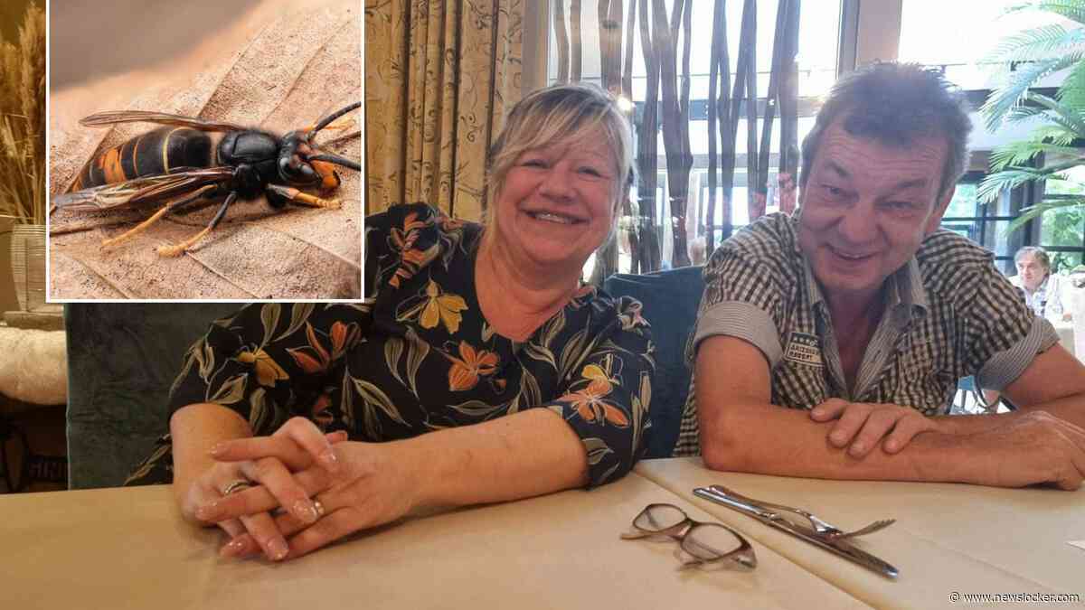 Eddy (60) die na aanval door nest Aziatische hoornaars in coma raakte, is hersendood verklaard