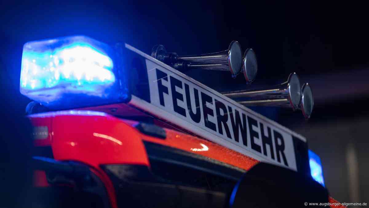 Hund schaltet Herdplatte ein: Mehrere Feuerwehren rücken wegen starker Rauchentwicklung in Pleß aus