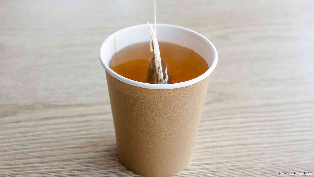 The microplastics lurking in your takeaway coffee: Single-use cups release millions of dangerous particles when exposed to hot liquid, study warns