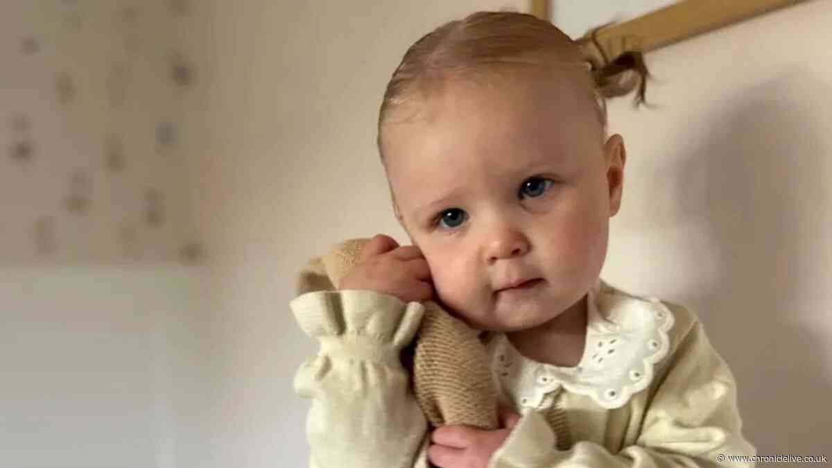 Toddler drowned in garden pond on Christmas Day after slipping outside unnoticed