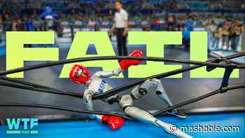 Highlights From Chinas Humanoid Robot Olympics