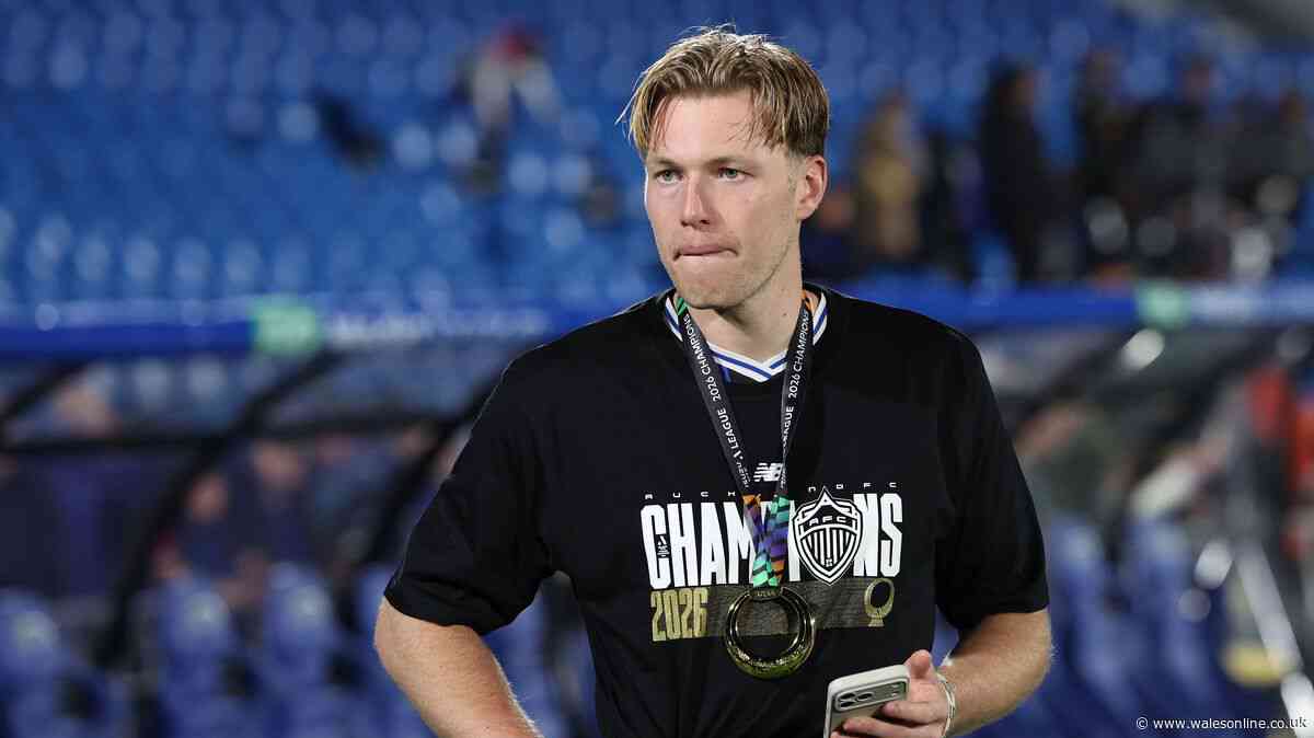 Cardiff City linked with giant striker as club slap £1.5m price tag on him