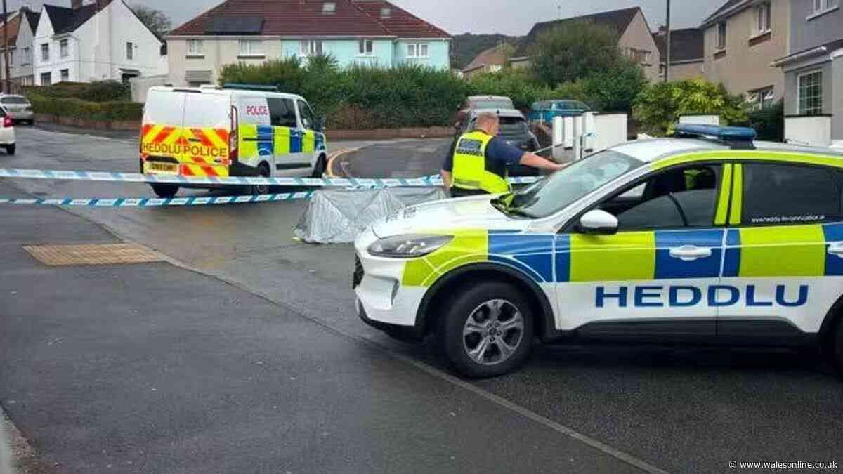 Man in hospital with serious injuries after alleged assault in Neath