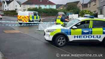Man in hospital with serious injuries after alleged assault in Neath