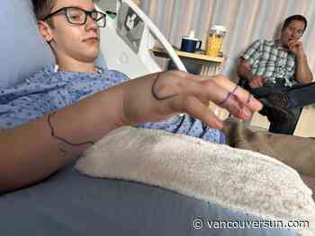 B.C. boy bitten by rattlesnake his father picked up: 'We made a few mistakes'