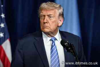 Critics Roast Donald Trump After He Claims That Cutting Off Trade Partners Creates a 'Big Money Machine'