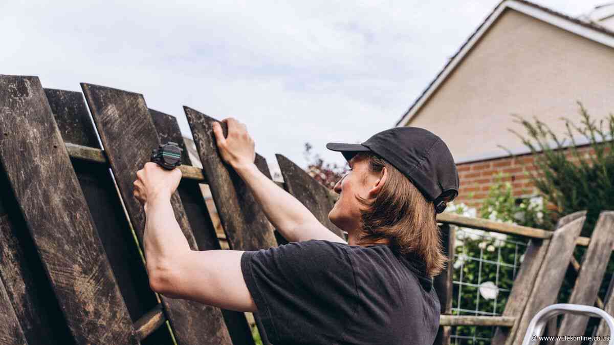 Garden fence owners told to 'act now' before it's 'too late'