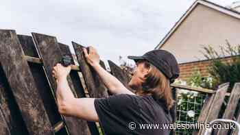 Garden fence owners told to 'act now' before it's 'too late'