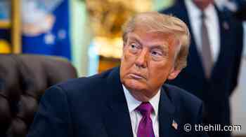 Trump approval stuck at lowest level of political career: Survey