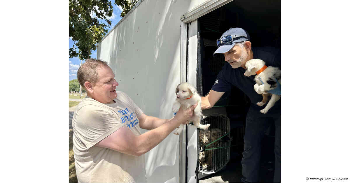 Animal Rescue Corps rescues 86 dogs from Missouri breeding operations