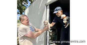 Animal Rescue Corps rescues 86 dogs from Missouri breeding operations