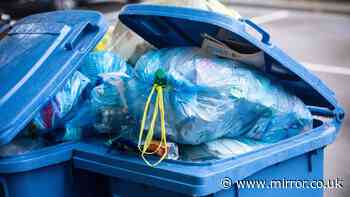 Homes could be fined up to £80 for breaking wheelie bin lid 'rule'