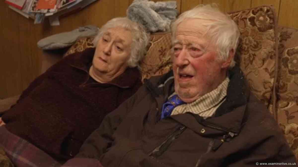 Yorkshire Vet shares huge Mr and Mrs Green update and fans are delighted