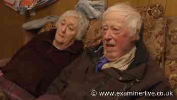 Yorkshire Vet shares huge Mr and Mrs Green update and fans are delighted