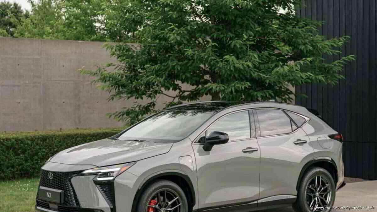 Sensible leisten und ein Concierge – Lexus NX Facelift