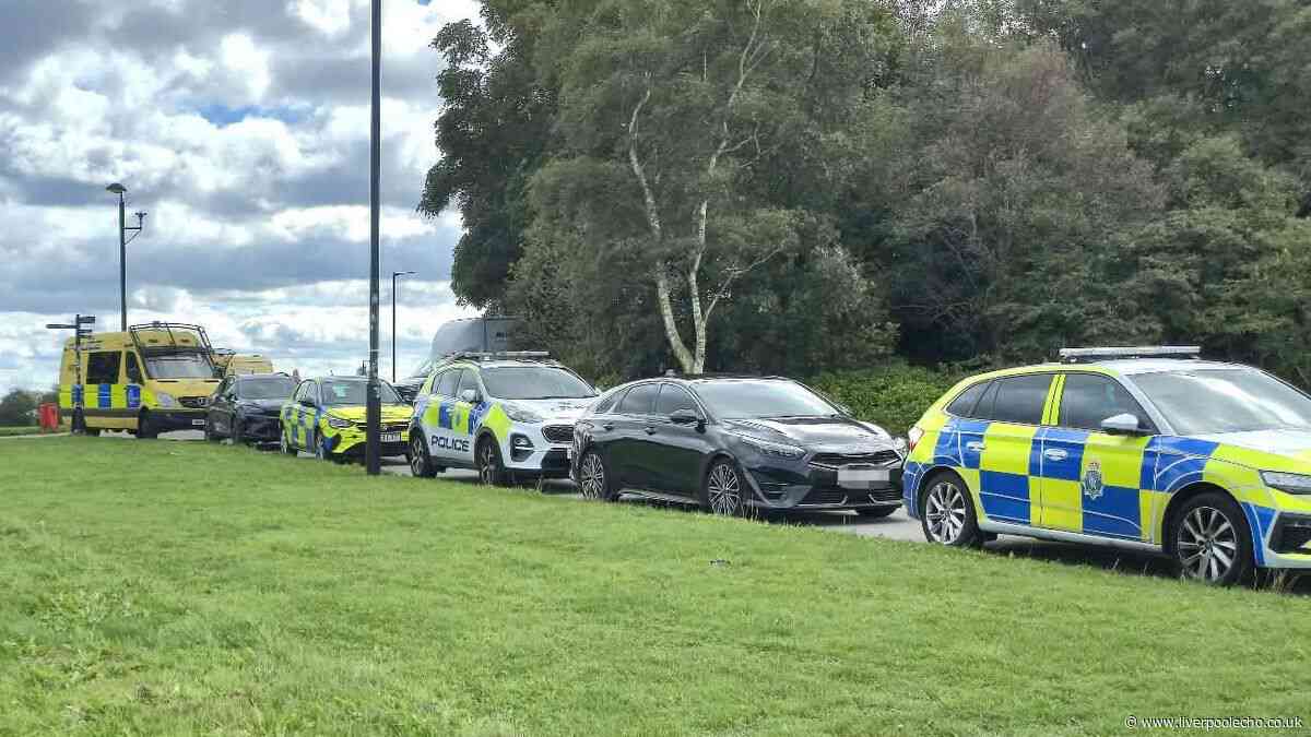 Police continue to comb Stanley Park for clues after woman's body found in bin bag