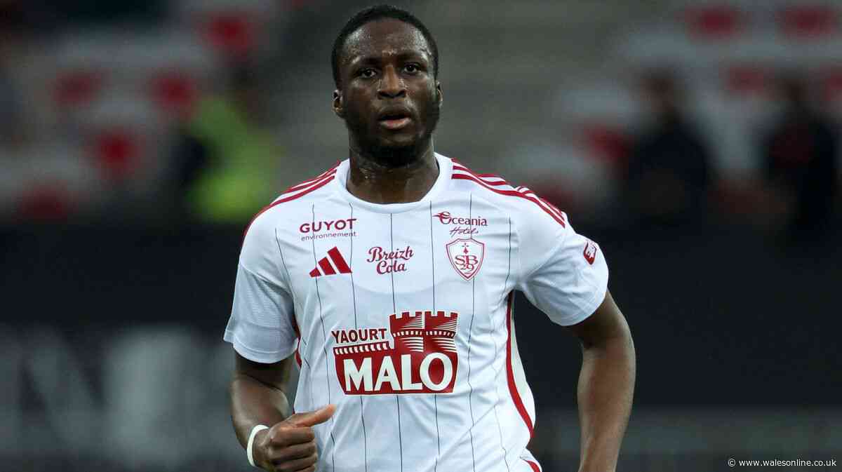 Swansea City chase for ex-Champions League star over as discussions collapse