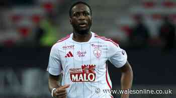 Swansea City chase for ex-Champions League star over as discussions collapse