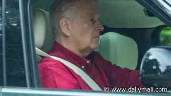 Andrew Mountbatten-Windsor is accused of 'committing sex crimes in the US' by congressman