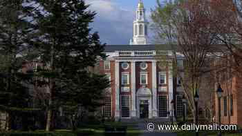 Harvard University students told to shelter in place as machete-wielding maniac is on the loose