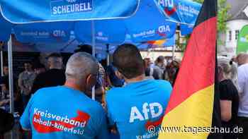 Landtagswahl in Sachsen-Anhalt: Wie viel Macht hätte eine AfD-Regierung?