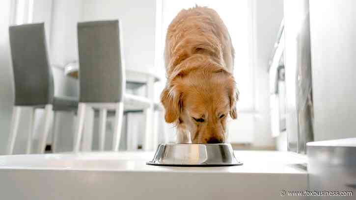 Nearly 2,000 pounds of pet food recalled over salmonella, listeria risk