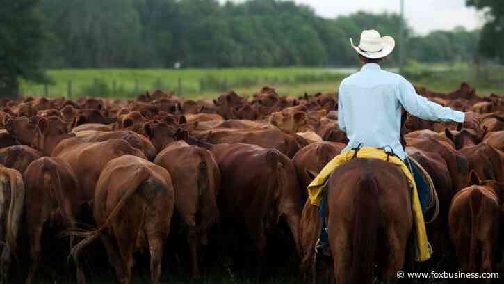 Trump goes after the companies ranchers blame for the beef price squeeze
