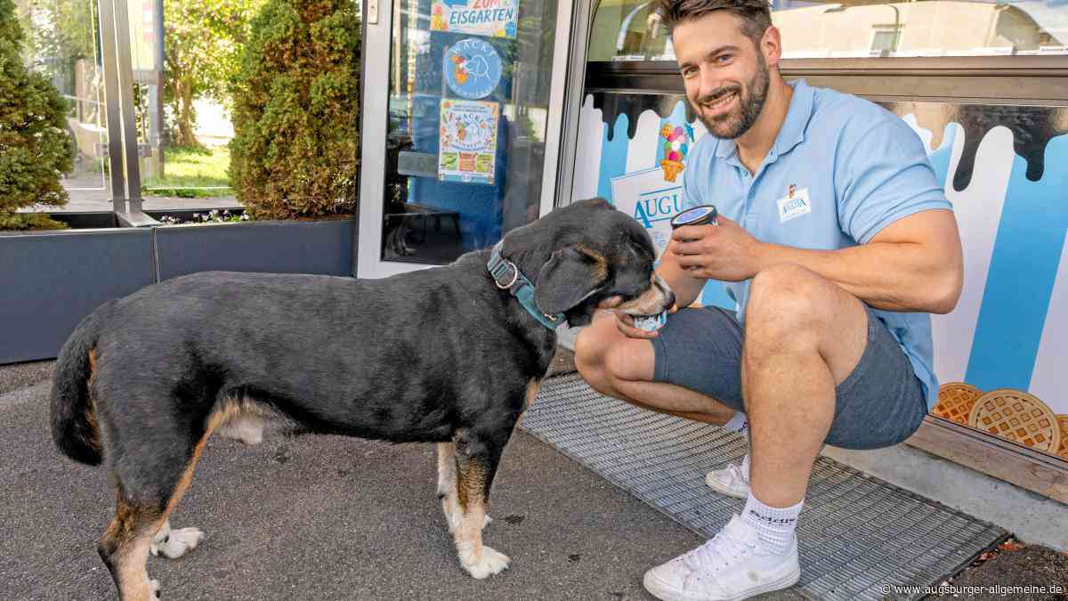 „Kartoffel-Thunfisch“: In dieser Augsburger Konditorei gibt es ein Eis für ganz besondere „Kunden“