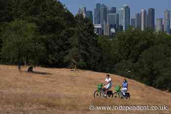 A series of heatwaves leads Britain to record its hottest summer