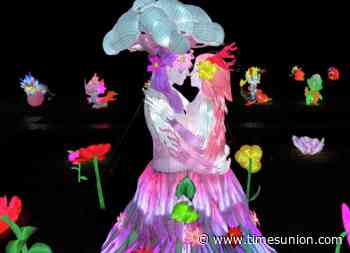 SEEN: Autumn Glow Festival 2026
