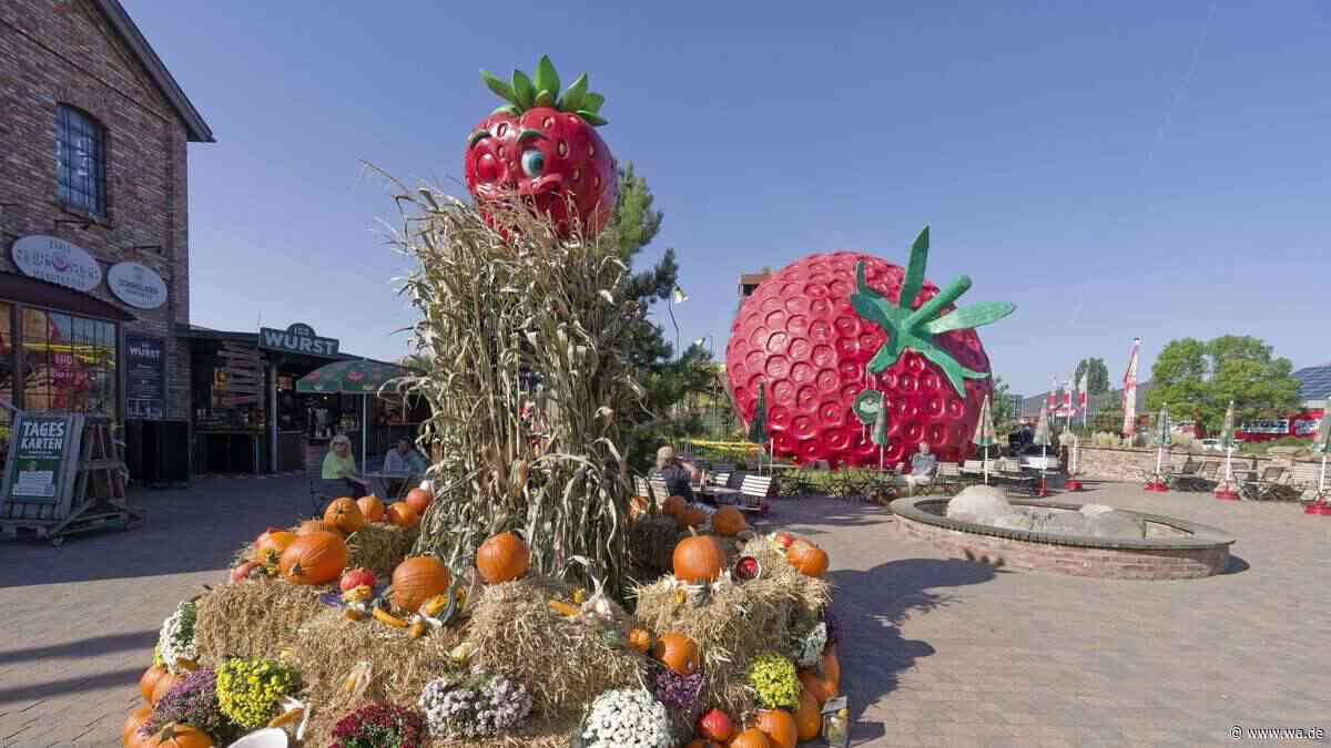Mit kunstvoller Kürbis-Pyramide: Herbstlicher Kürbismarkt findet in NRW-Freizeitpark statt