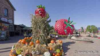 Mit kunstvoller Kürbis-Pyramide: Herbstlicher Kürbismarkt findet in NRW-Freizeitpark statt