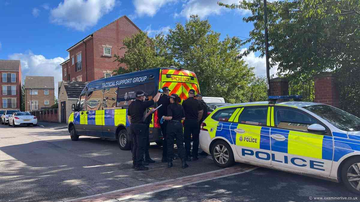 Sheffield newborn baby girl stabbed to death as investigation continues