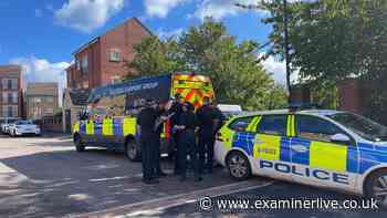 Sheffield newborn baby girl stabbed to death as investigation continues