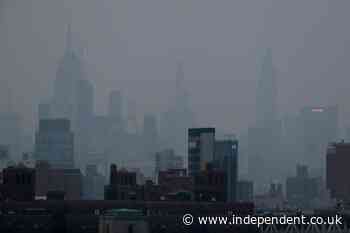 New York's plan to charge fossil-fuel producers $75B for climate change damages is struck down