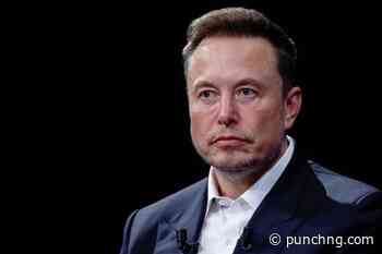 Musk defends AI data centres, slams EU rules at G20