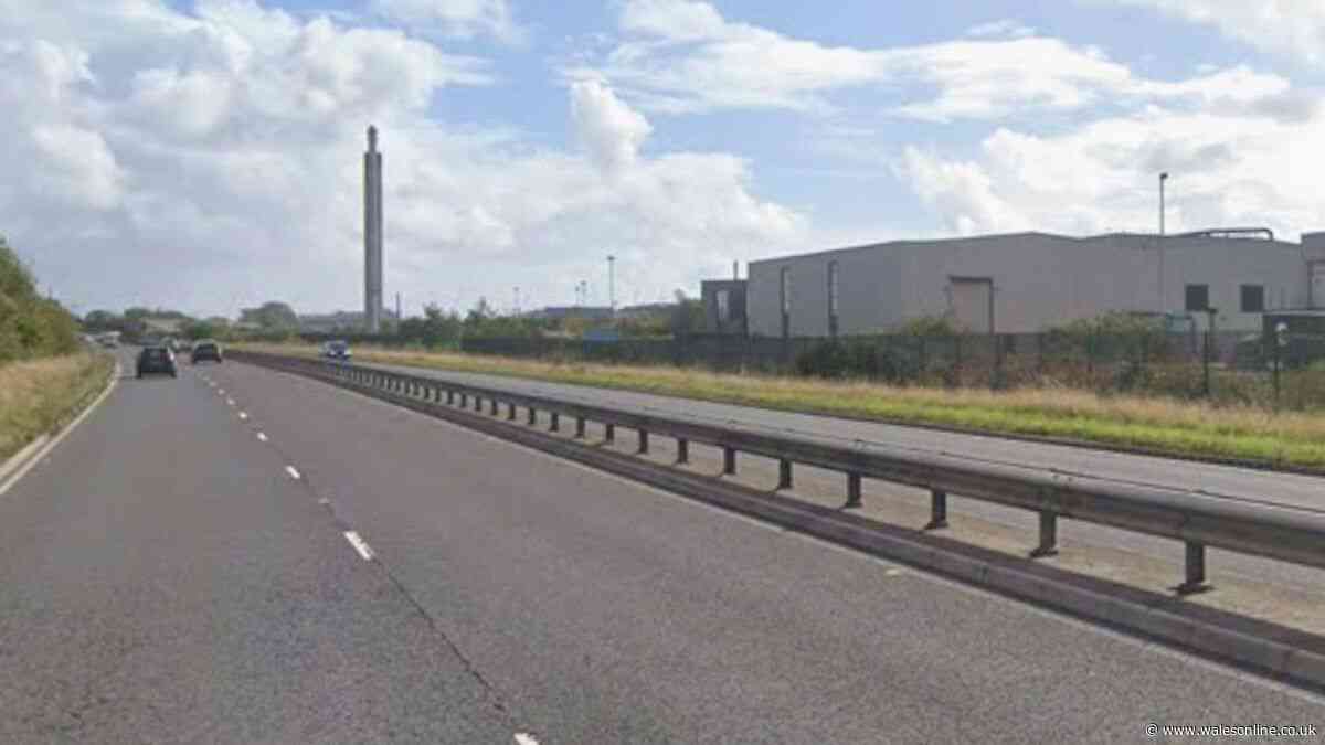 Motorcyclist dies after crashing into friend's bike