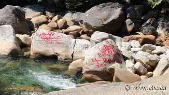 Man accused of painting memorial graffiti in B.C. park turns himself in