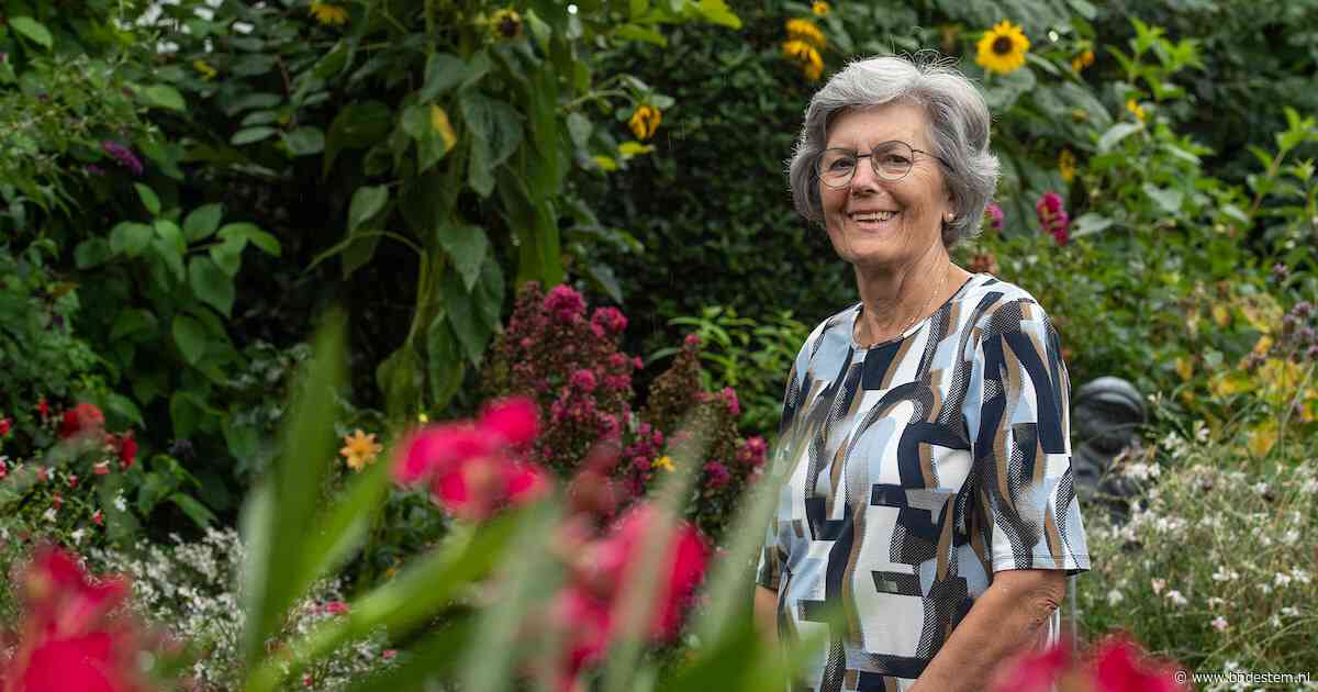 Joan Batist (75) uit Prinsenbeek heeft al 4,5 jaar bloedkanker: ‘Zo lang je behandeld wordt, leef je’