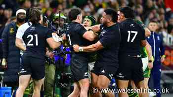 All Blacks accused over behaviour in South Africa after demand for World Rugby action