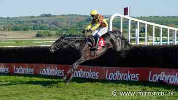 Galopin Des Champs tragedy as dual Cheltenham Gold Cup hero dies five days after retirement