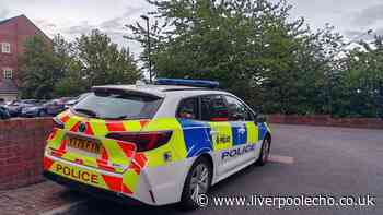 Newborn baby girl stabbed to death with police issuing major update