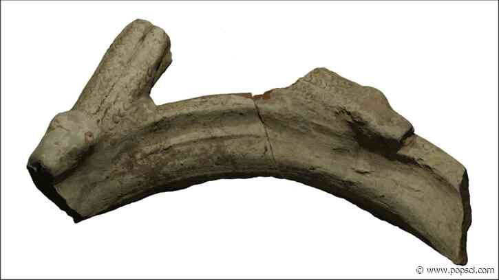 Two-headed snake pottery suggests ancient Roman mystery cult spanned over 2,000 miles