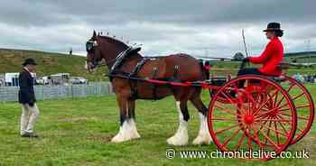 24 photos from famous Northumberland country show hailed a 'tremendous success'