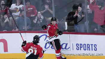 Connor Bedard Should Captain the Chicago Blackhawks’ Leadership Group