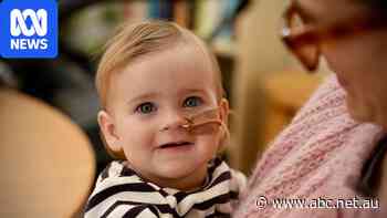 Rescue package to help vulnerable families care for children at home